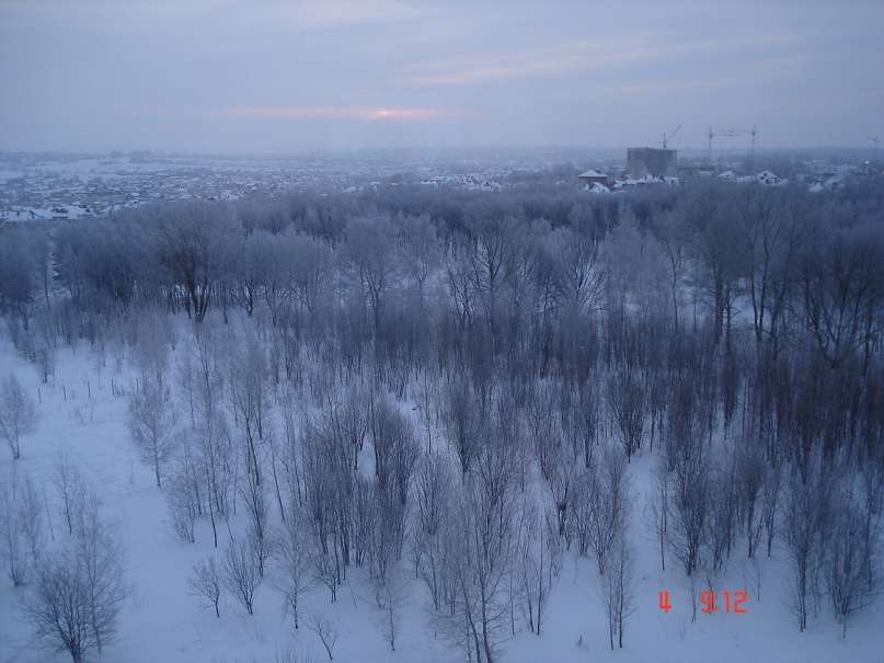 Ноксинский Лес пазл онлайн