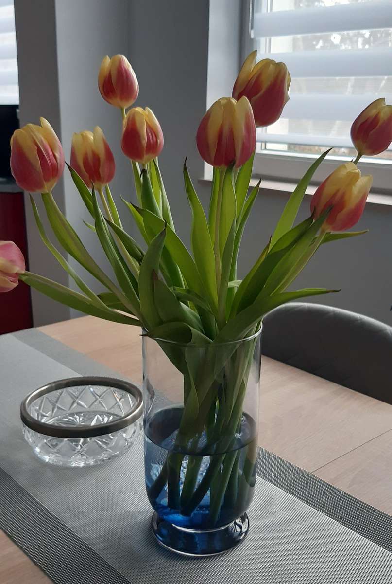 тюльпани в синій вазі пазл онлайн
