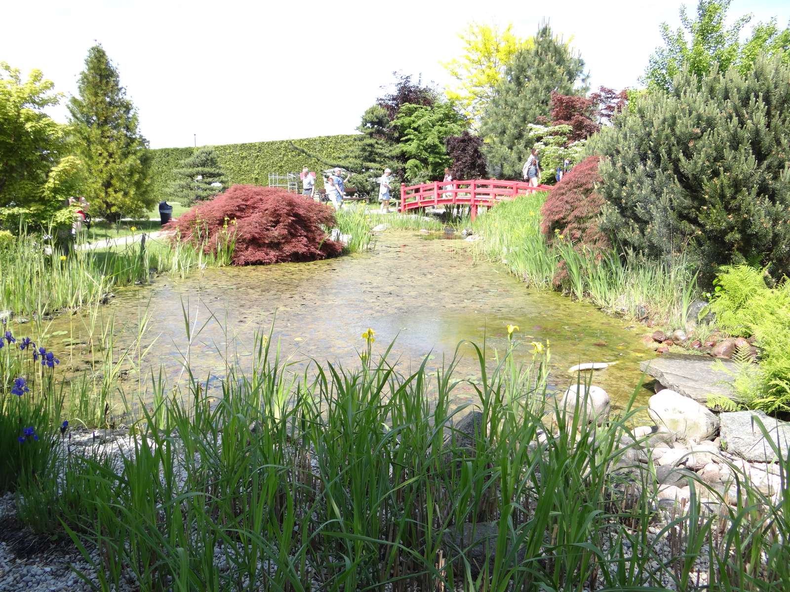 Jardín japonés rompecabezas en línea