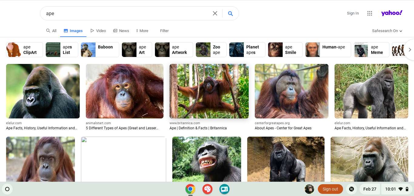 búsqueda de simios rompecabezas en línea