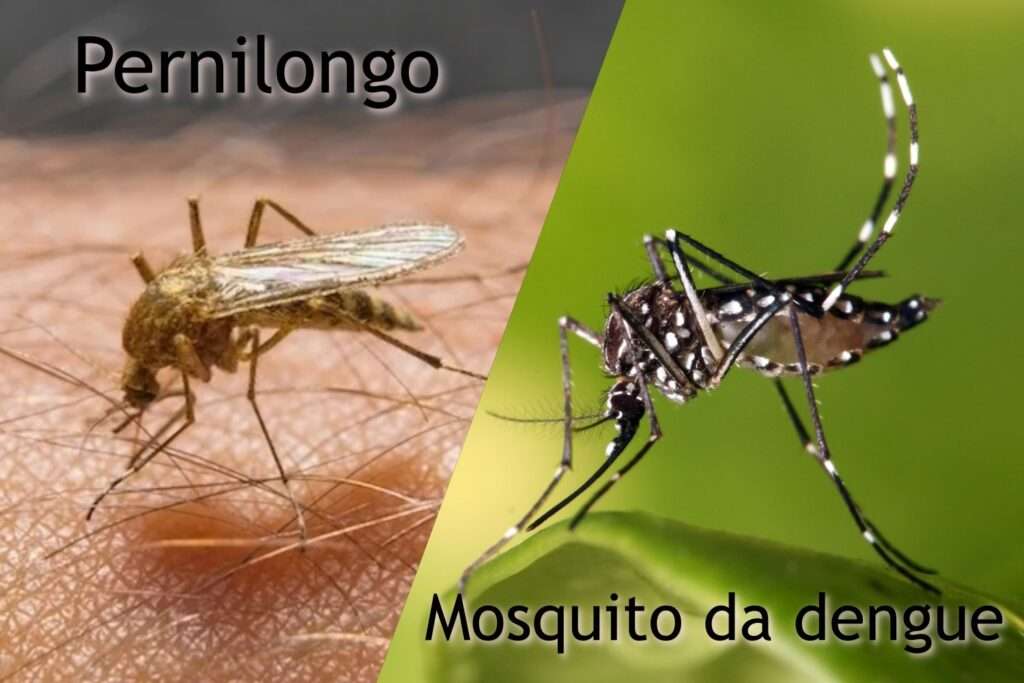 Denguefieber ist schlimm Online-Puzzle
