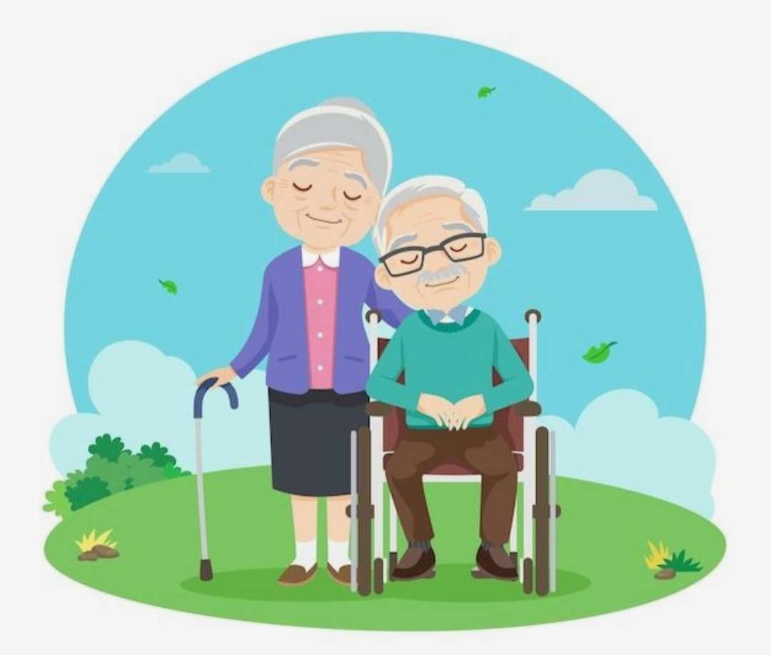 Older Adult Population online puzzle