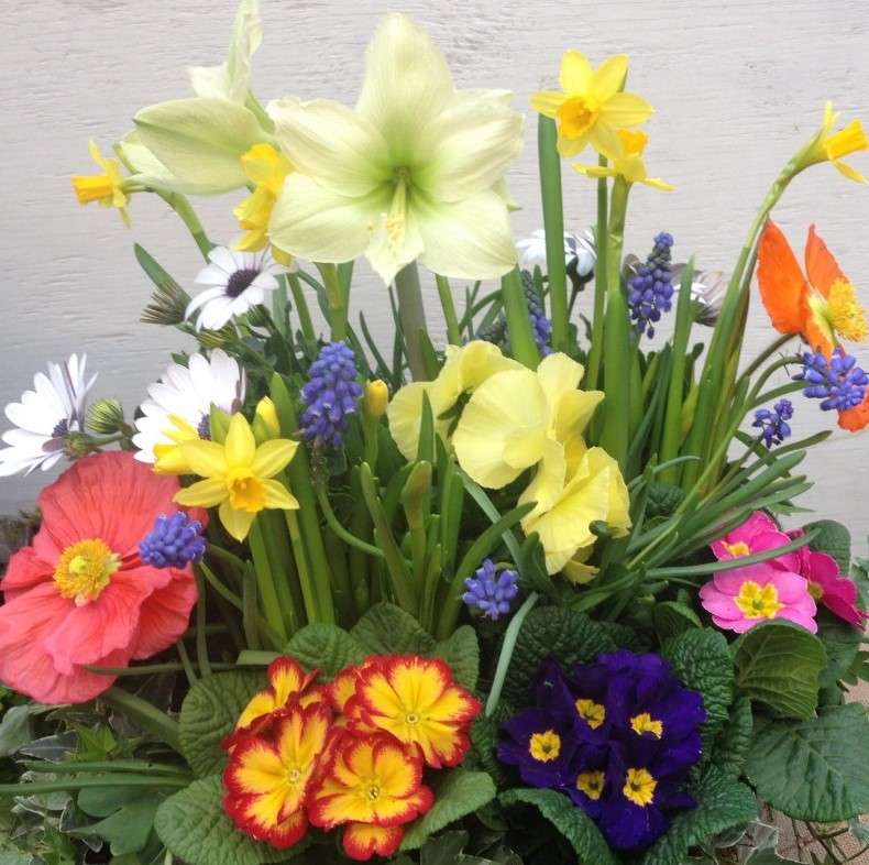 Flores da Primavera puzzle online