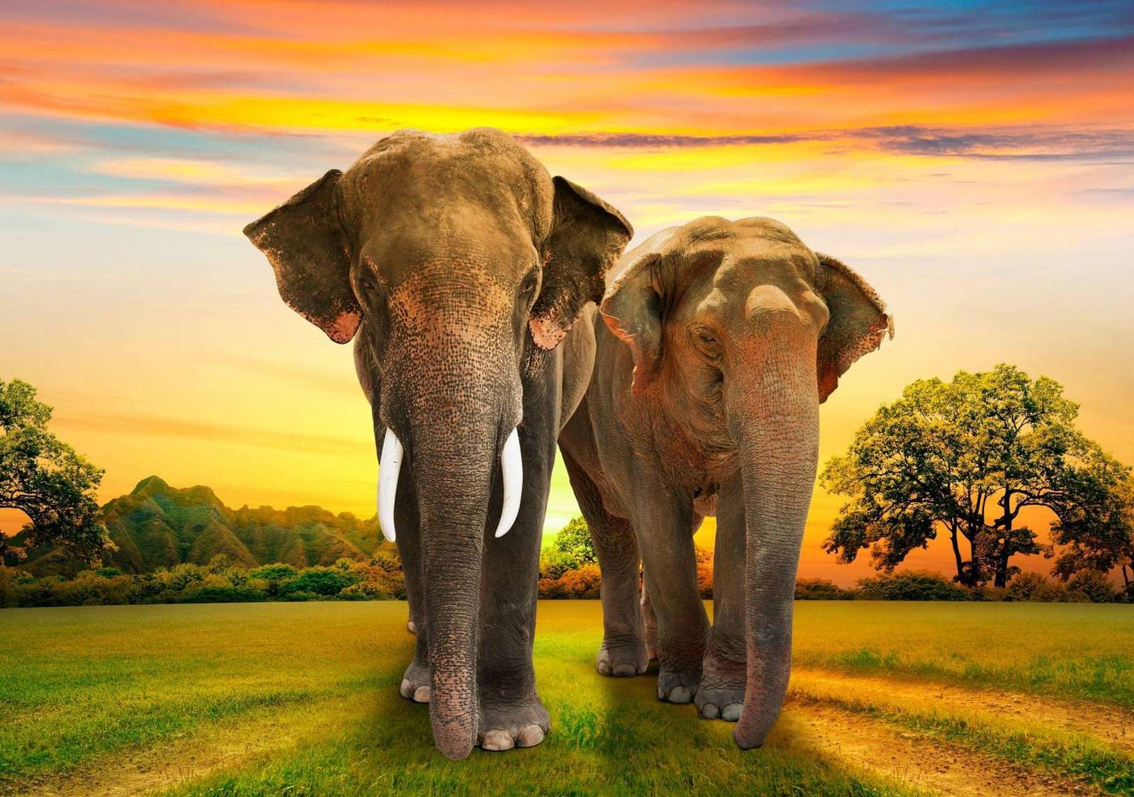象の家族 ジグソーパズルオンライン