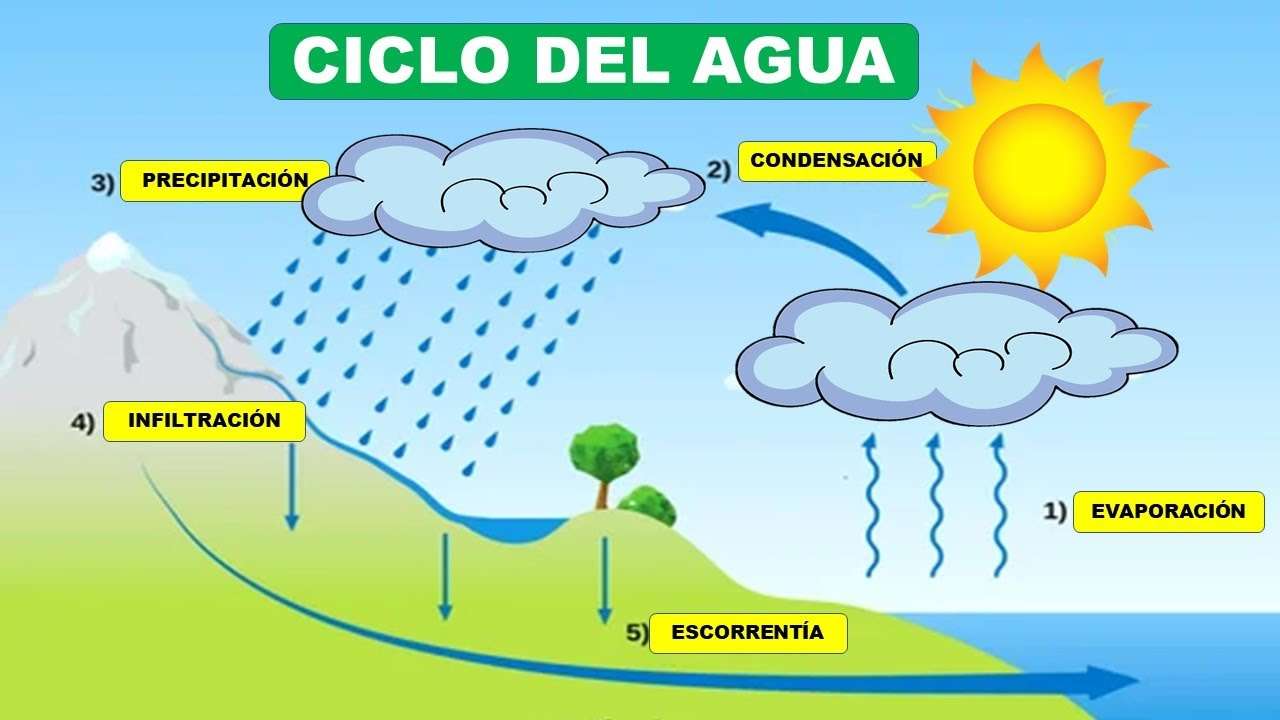 Water cycle jigsaw puzzle online