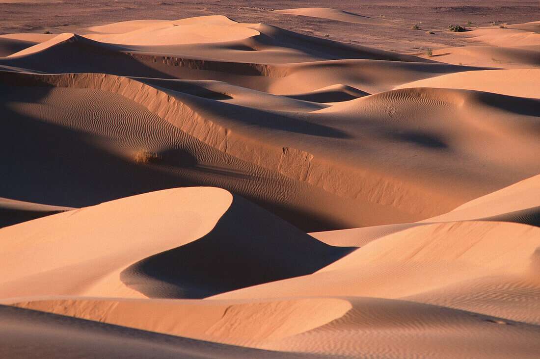 アルジェリアのサハラ砂漠 ジグソーパズルオンライン