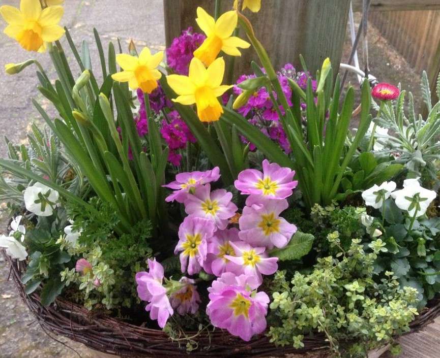 Tavaszi virágok egy cserépben kirakós online