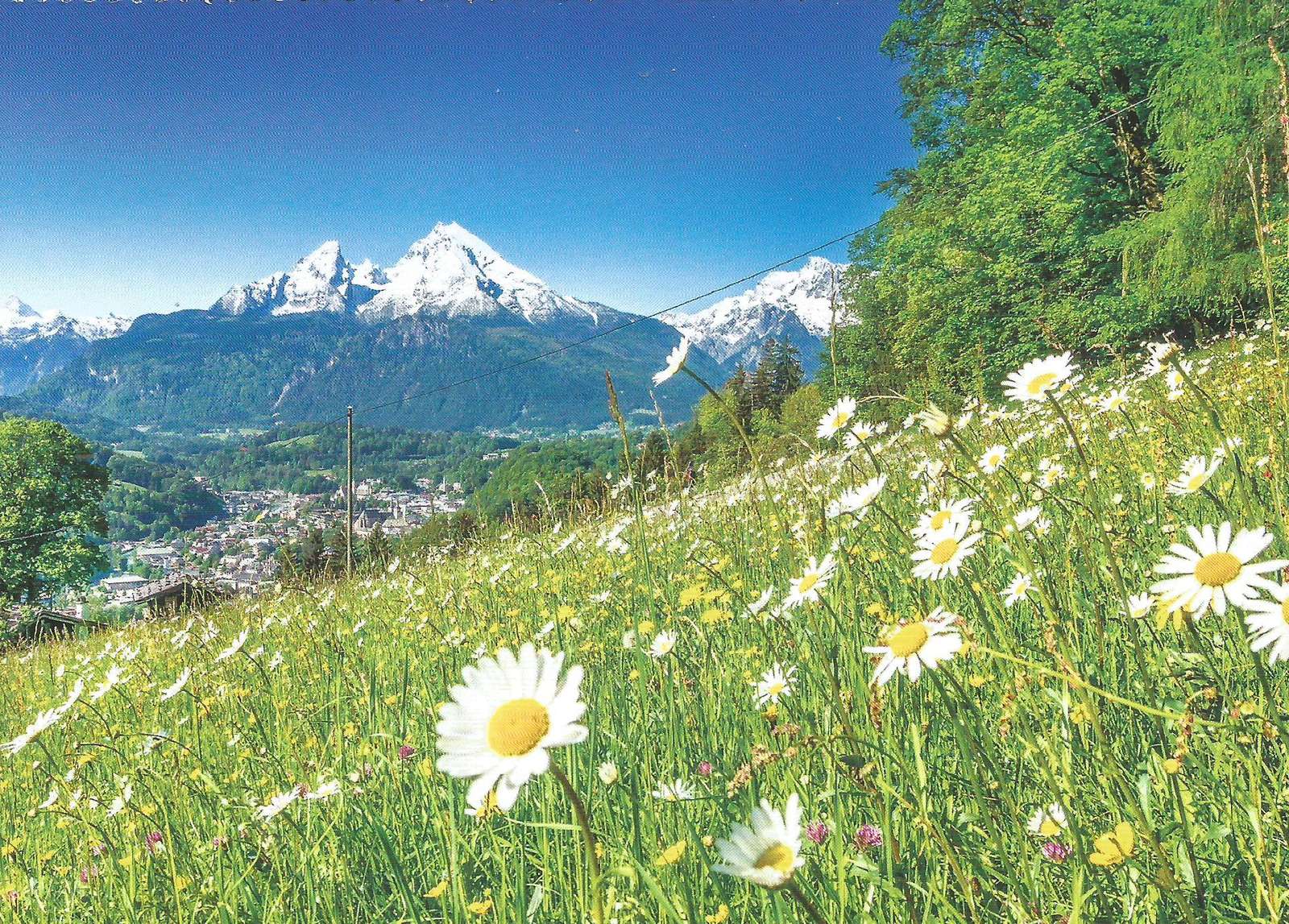 Альпийский пейзаж из Тироля пазл онлайн
