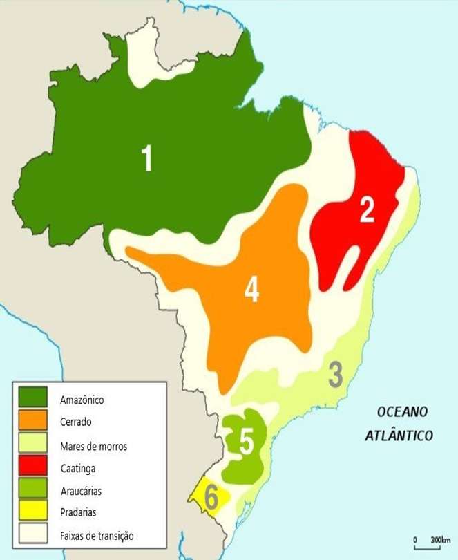 MAPAS DO BRASIL quebra-cabeças online