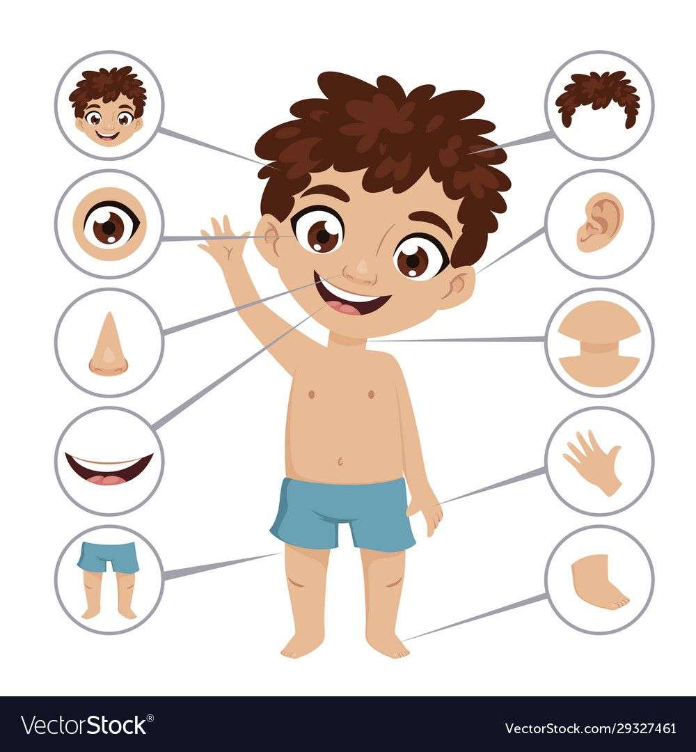 human body puzzle online puzzle