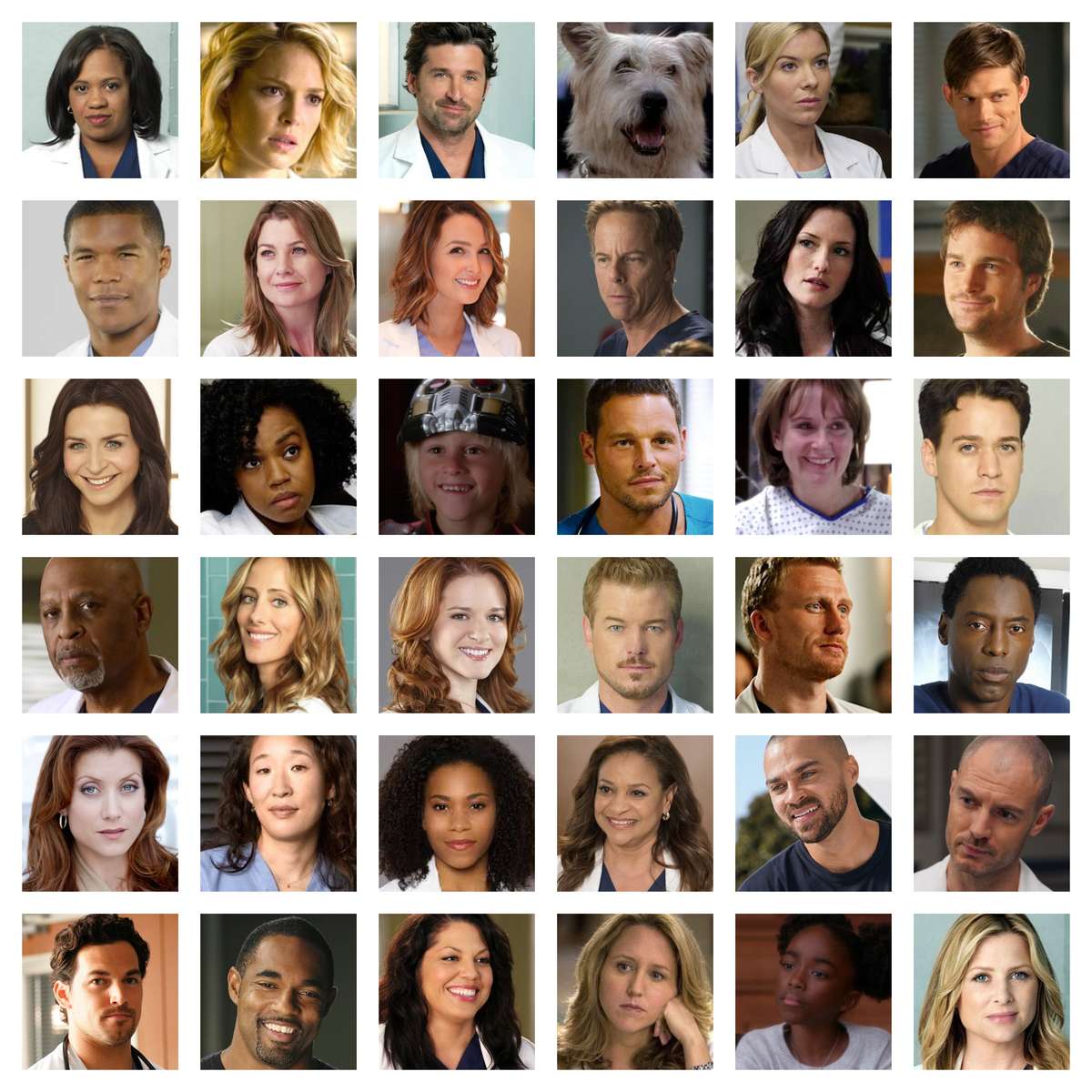 Cast di Grey's Anatomy puzzle online