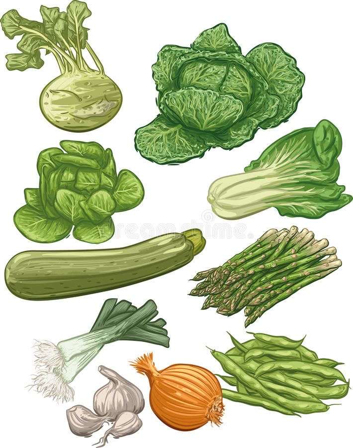 Hasznos zöldségek kirakós online
