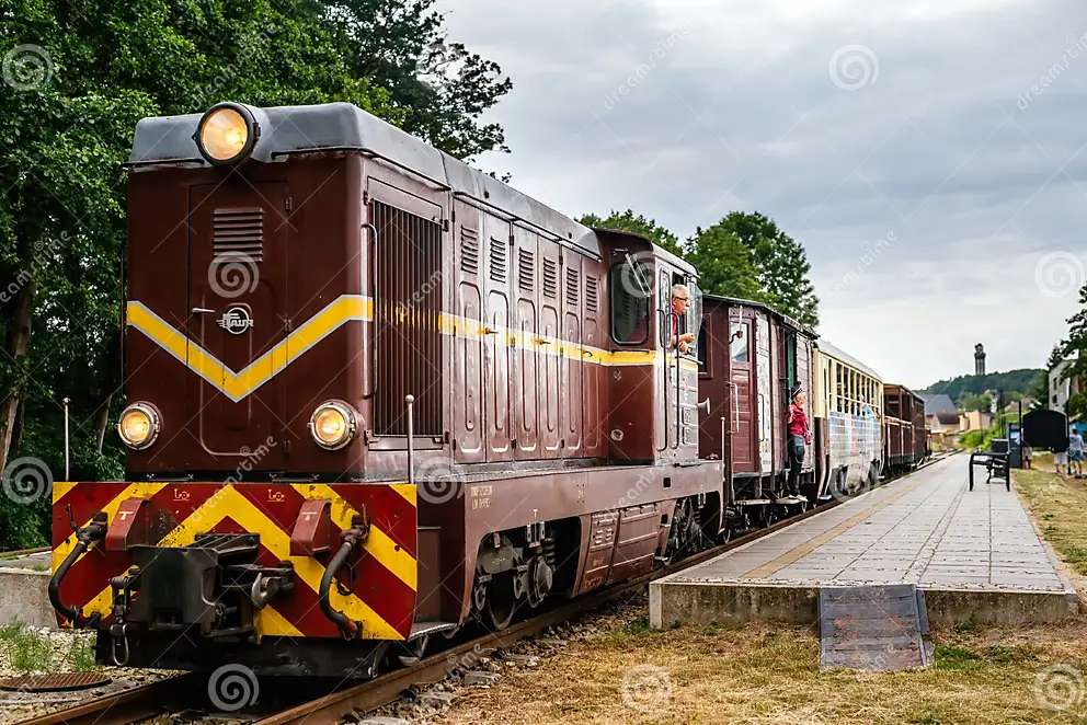Train on narrow tracks jigsaw puzzle online