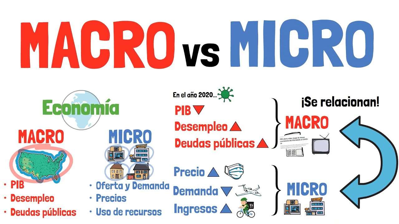 Macro vs. Micro rompecabezas en línea