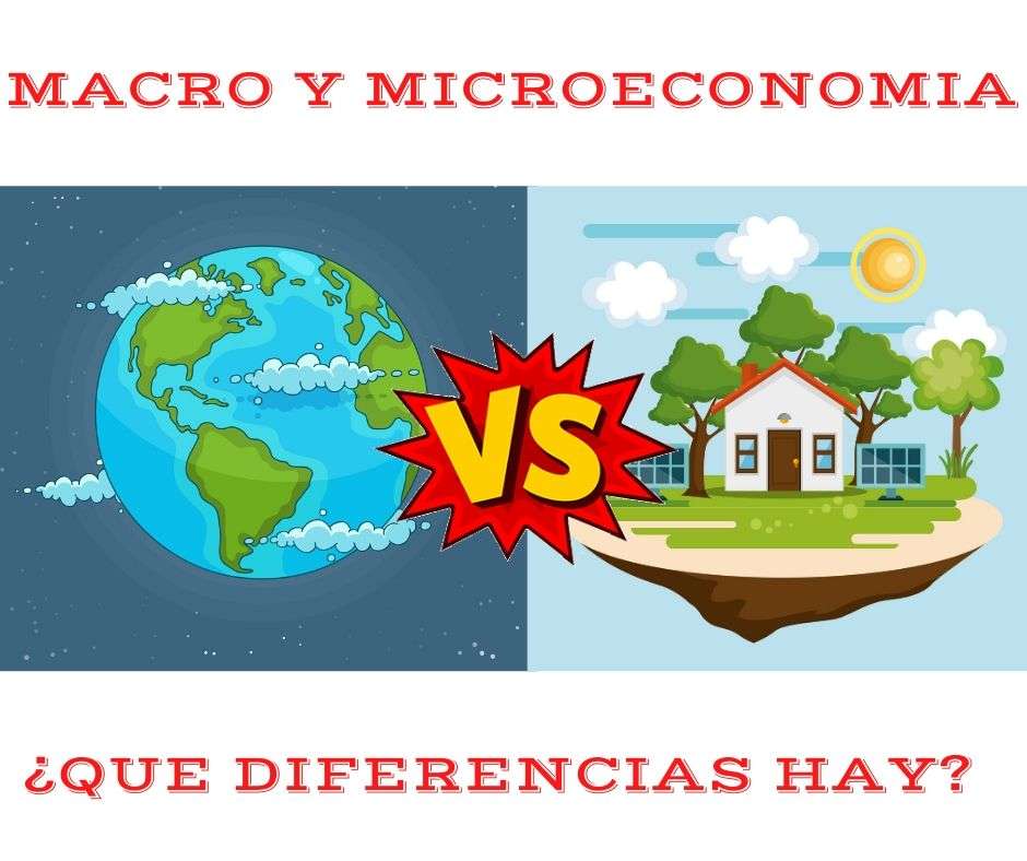 Micro vs. Macro diferencias rompecabezas en línea