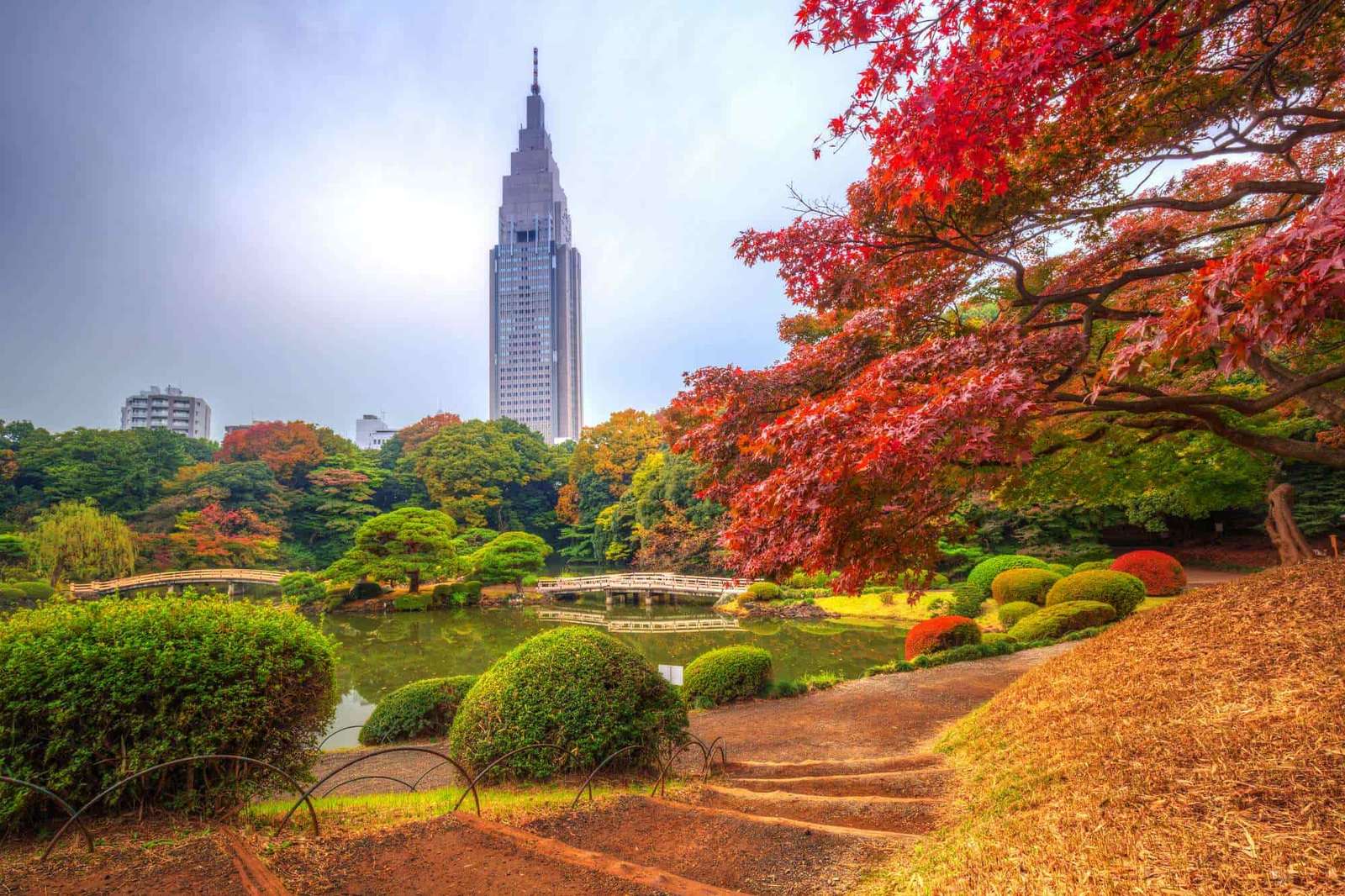 National park in Japan jigsaw puzzle online