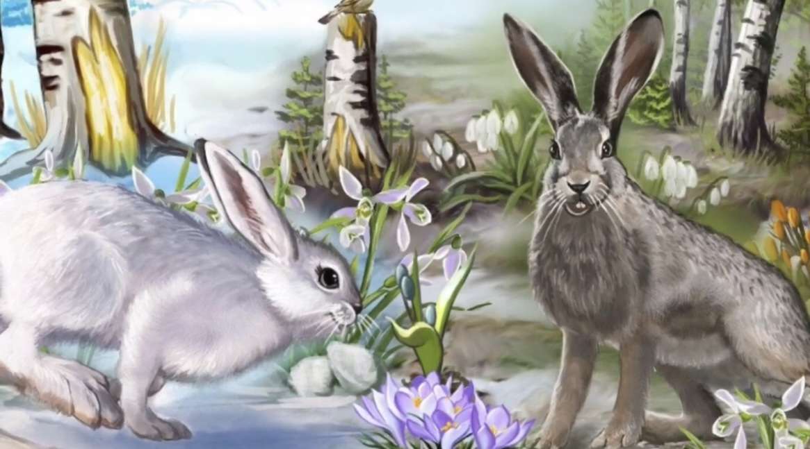 "March is like a bunny" online puzzle