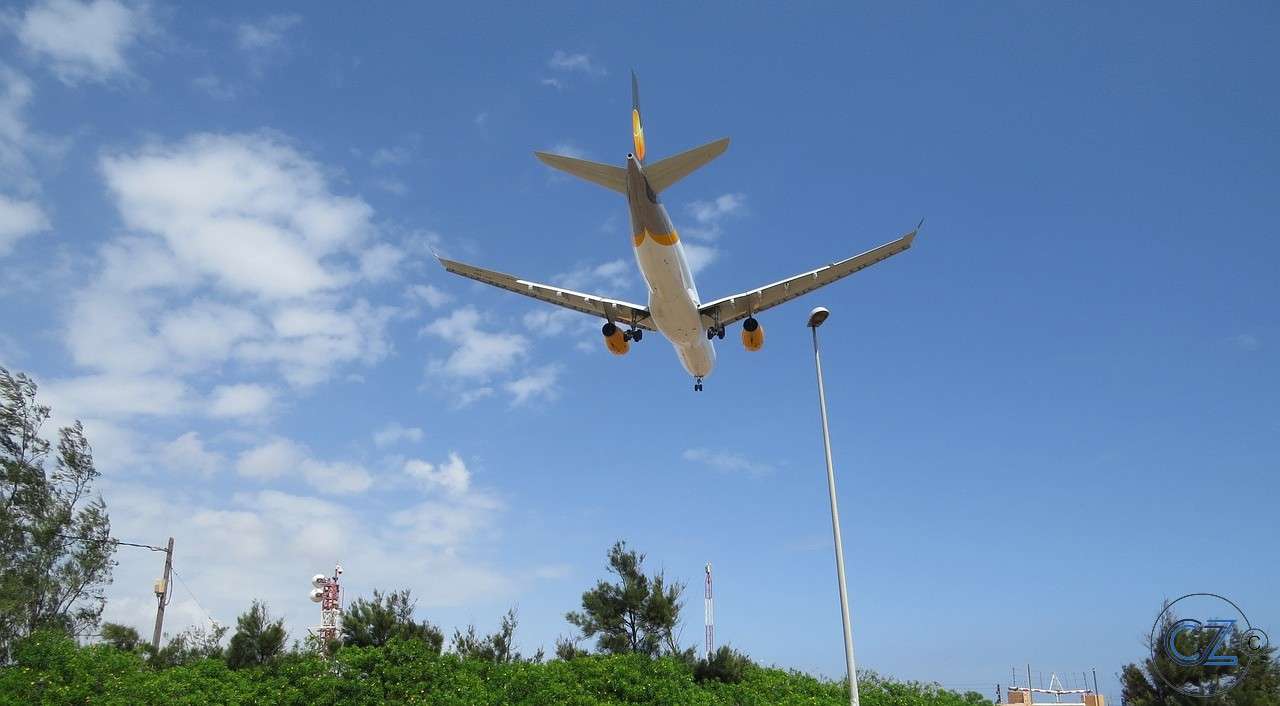 Aeropuerto, De, Palmas rompecabezas en línea