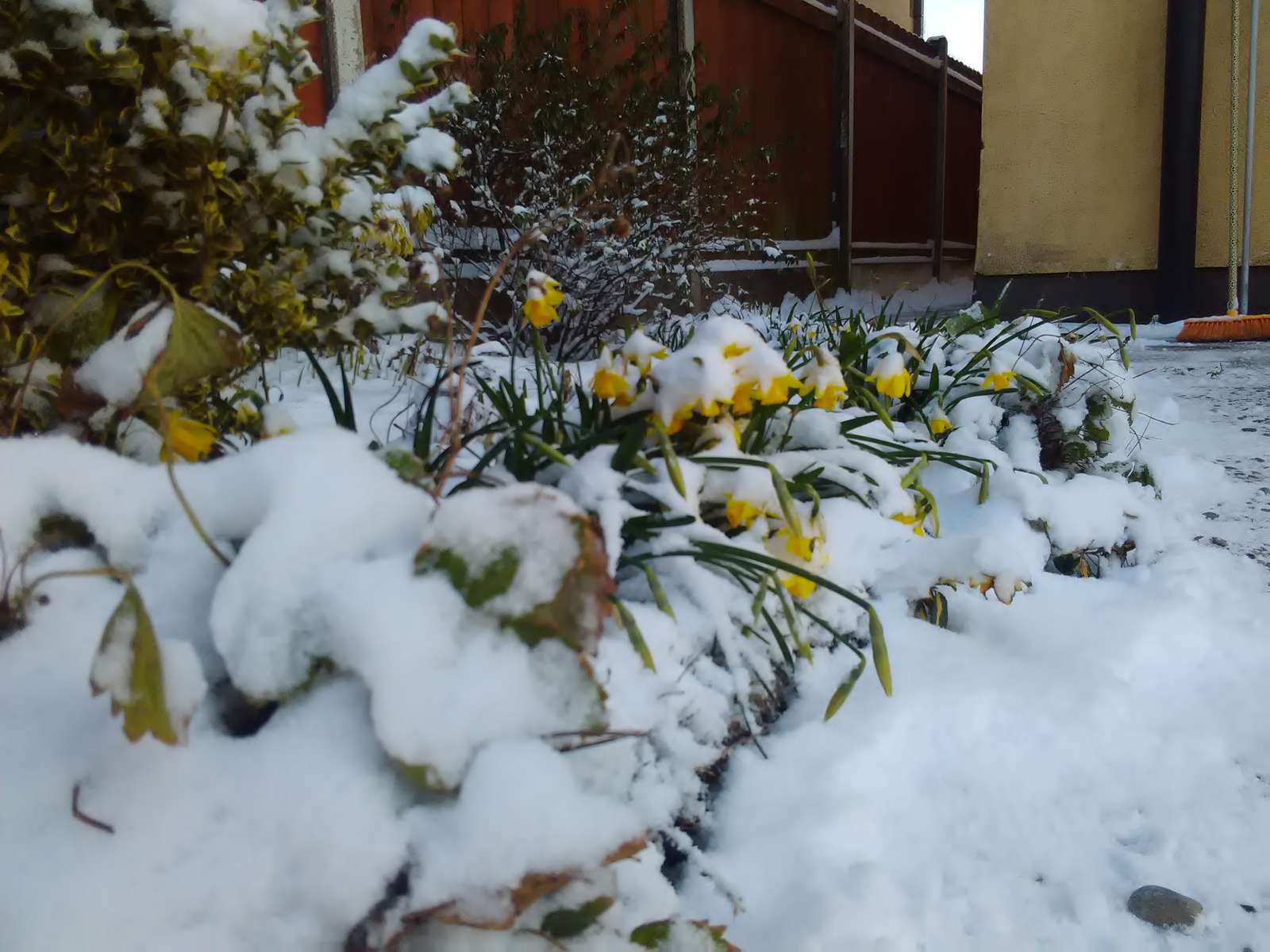 L'inverno ritorna in primavera puzzle online