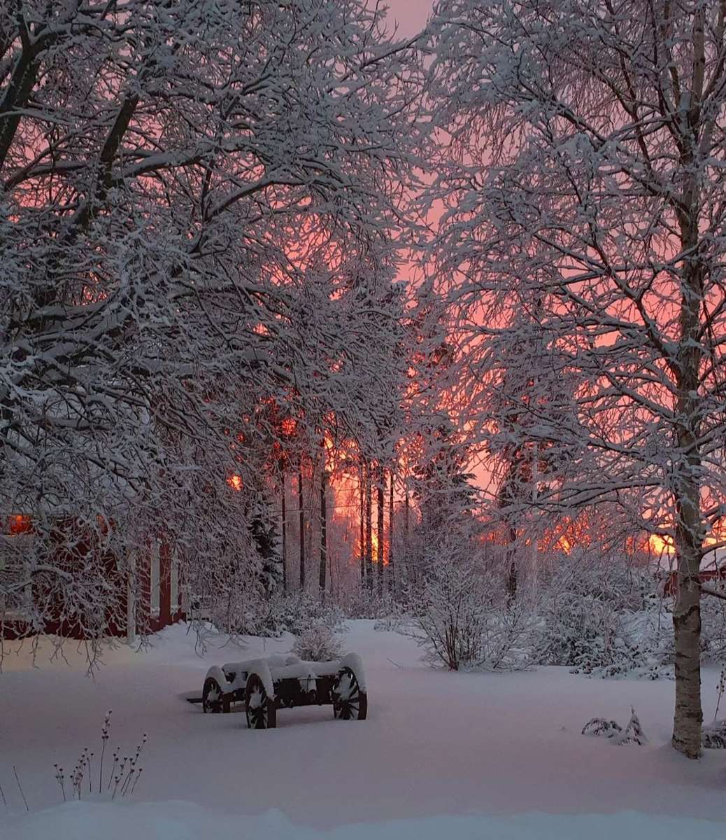 Puesta de sol en invierno rompecabezas en línea