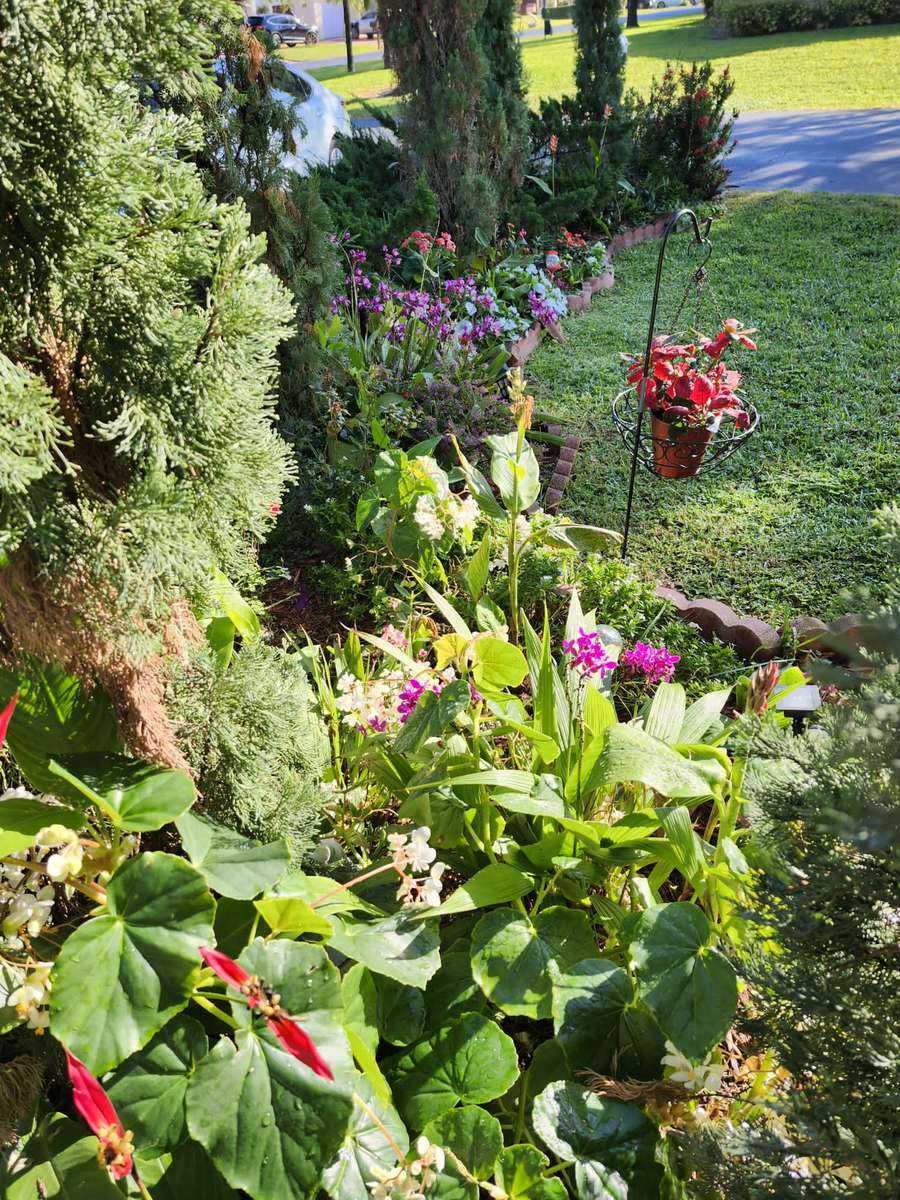 o grădină plină de verdeață jigsaw puzzle online