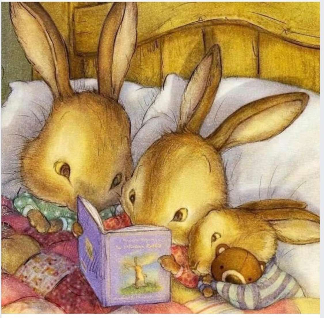 Čtení Velveteen Rabbit skládačky online