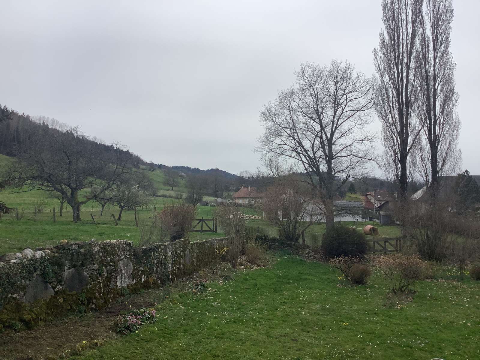 El paisaje rompecabezas en línea