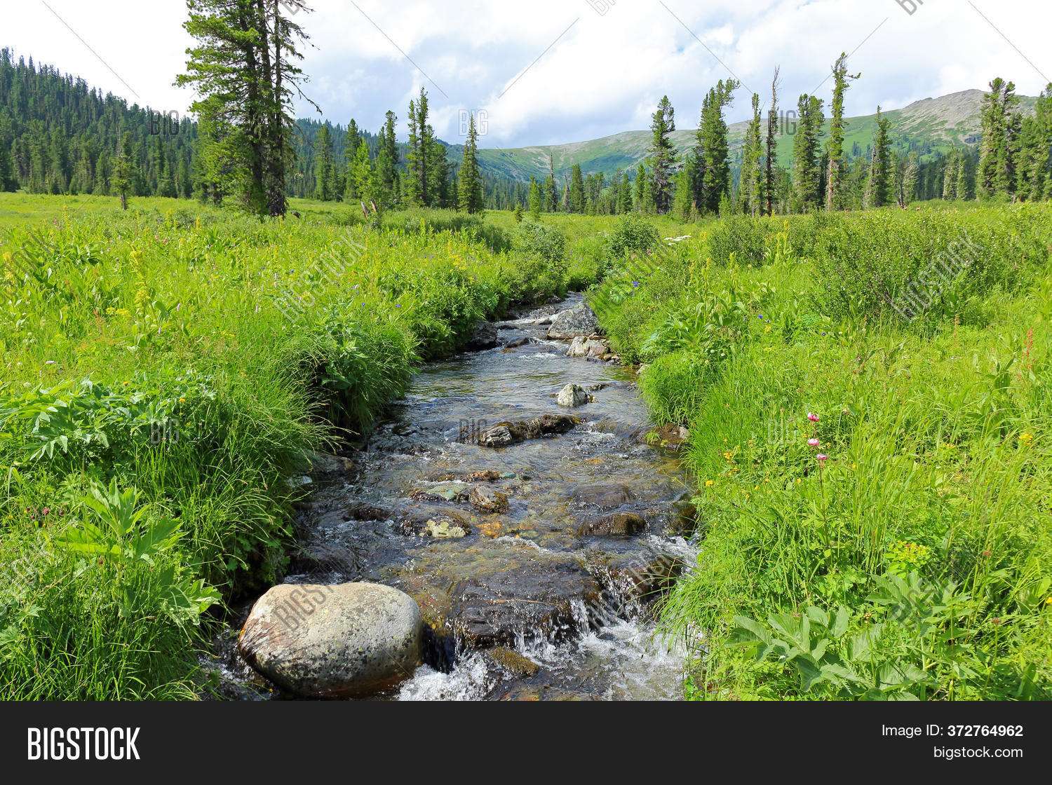 Arroyo de montaña en Siberia rompecabezas en línea