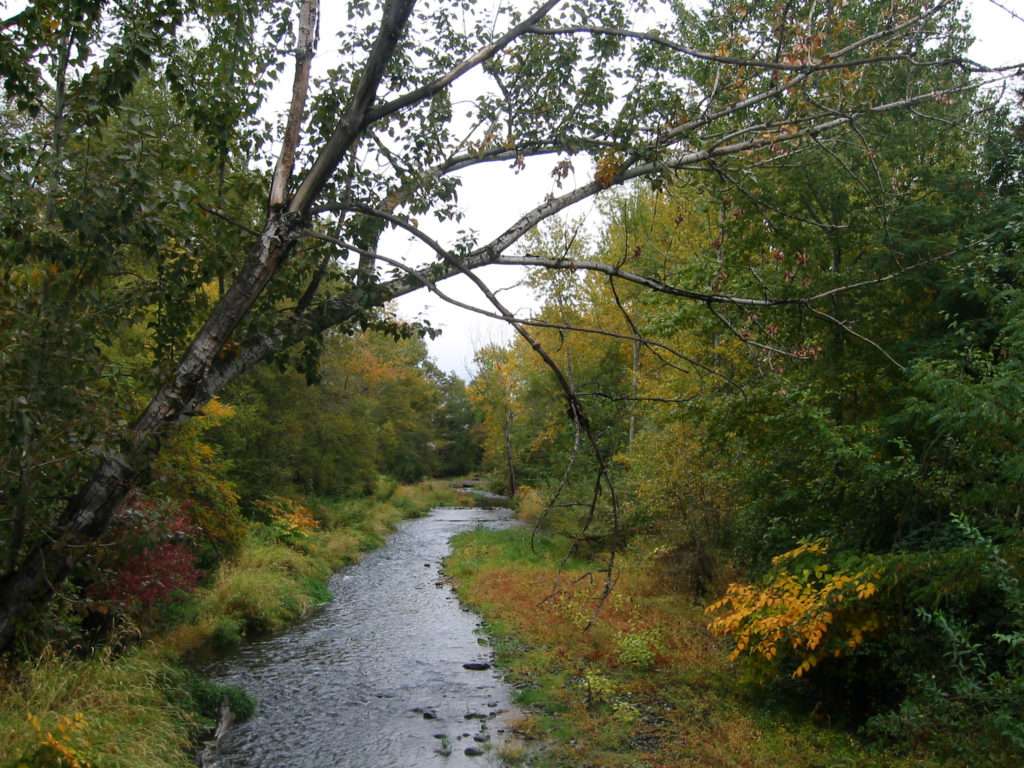 Mill Creek, delstaten Washington pussel på nätet