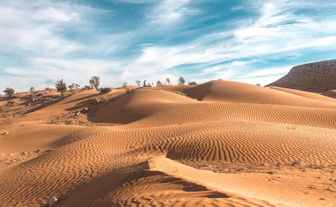 Sahara v Tunisku v Africe online puzzle