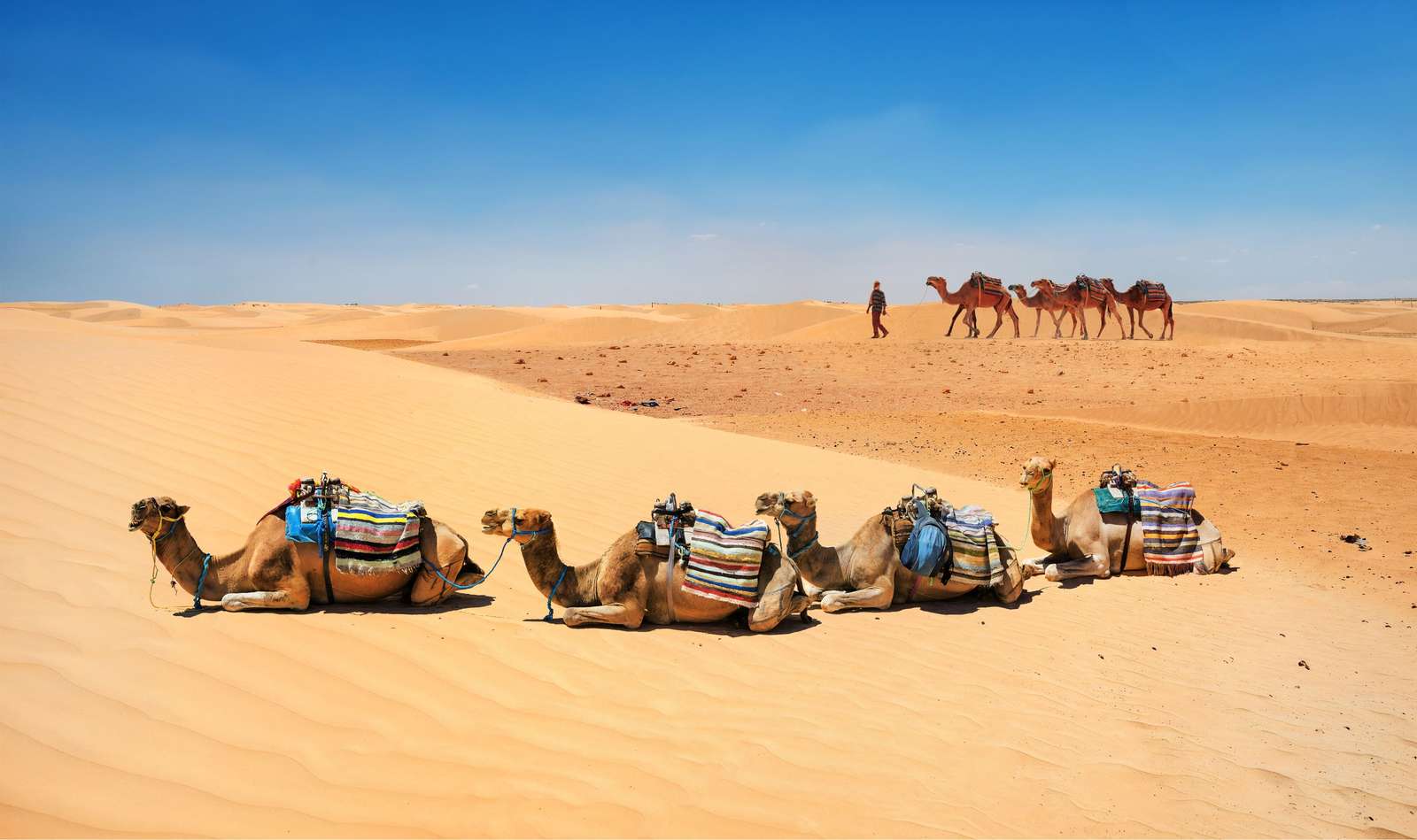 Sahara v Tunisku v Africe skládačky online