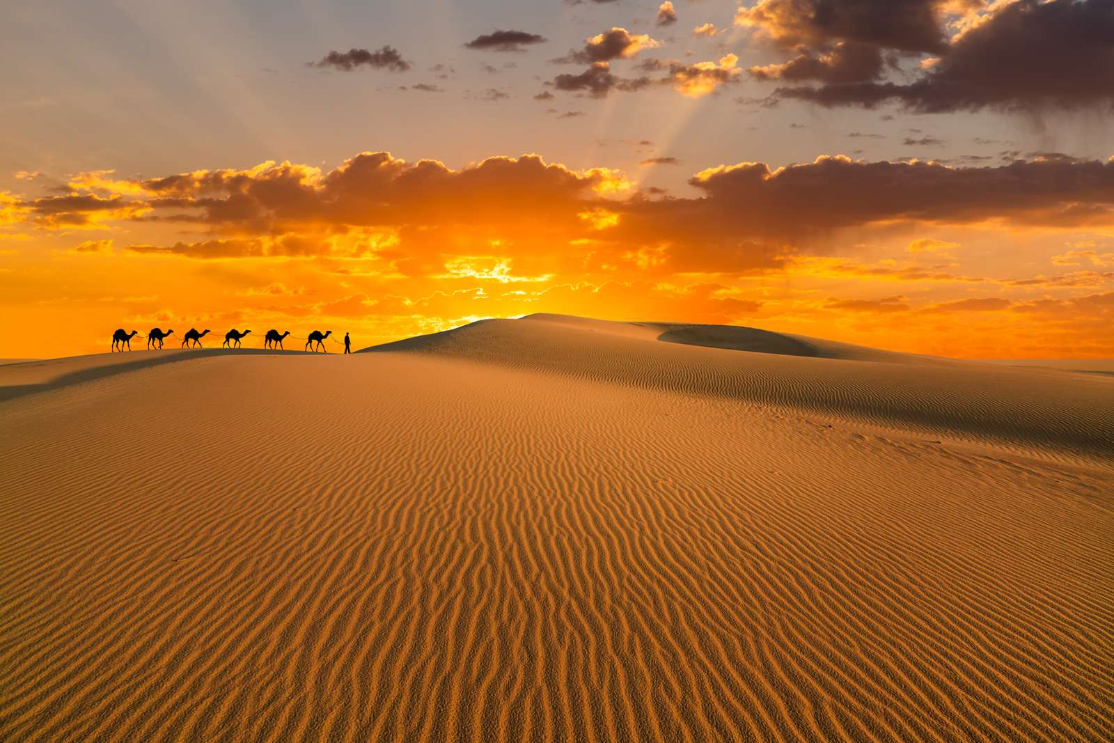 アフリカのチュニジアのサハラ砂漠 オンラインパズル