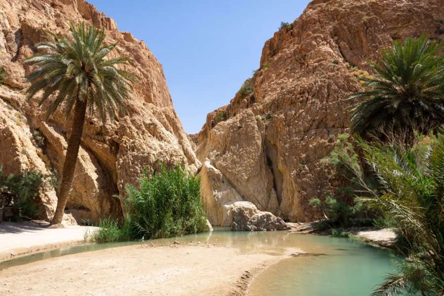 Sahara Chebika Oasis i Tunisien i Afrika Pussel online