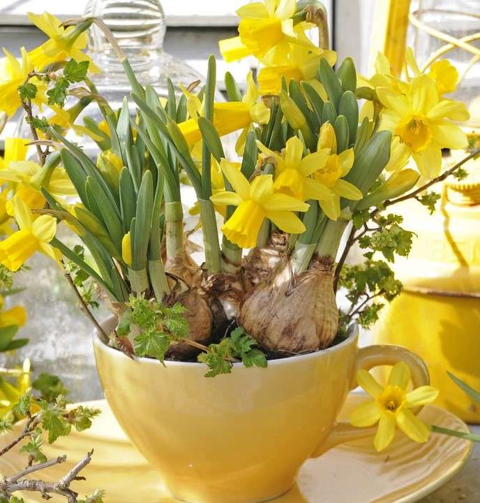 Tavaszi sárga virágok kirakós online