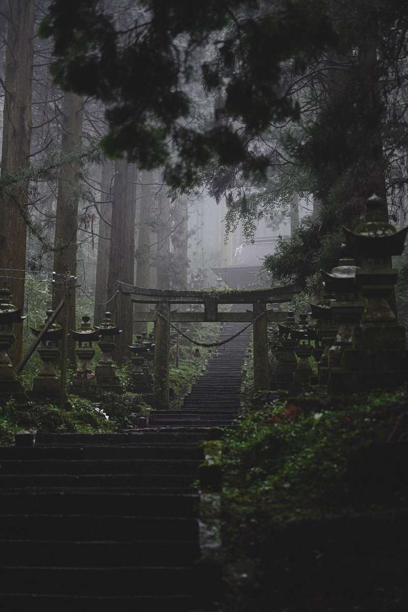 torii brumeux au japon puzzle en ligne