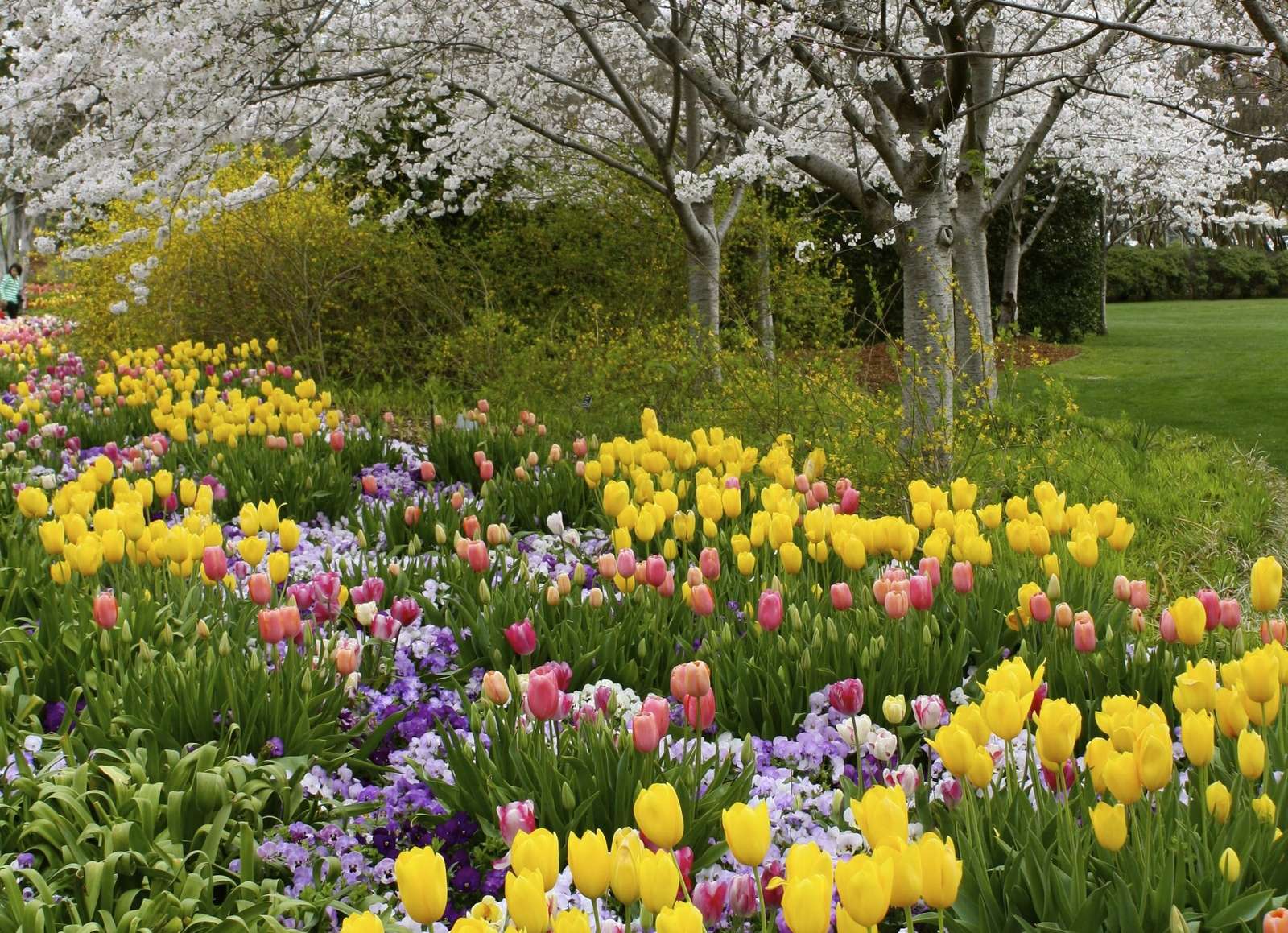 Květinové jaro online puzzle