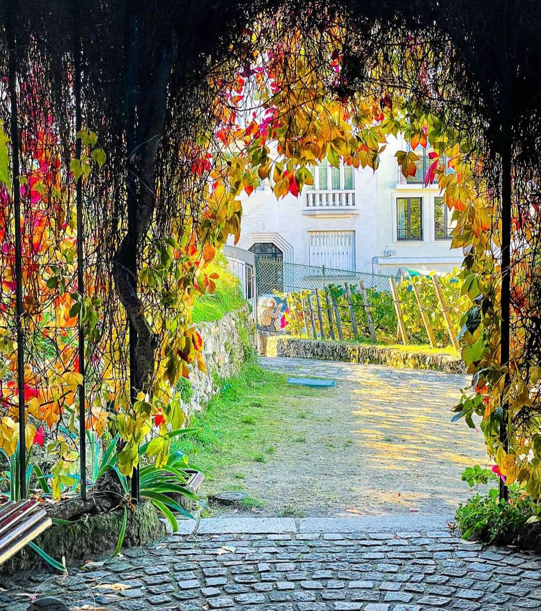 O privire asupra Montmartre jigsaw puzzle online