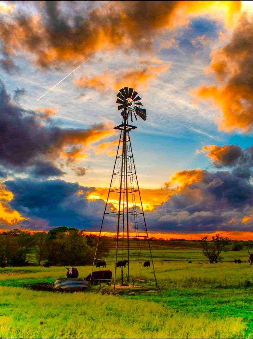 wind mill cows in field jigsaw puzzle online