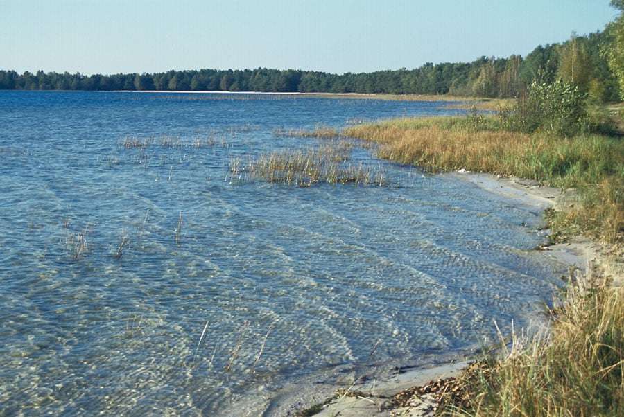 Λίμνη σε Polesie, Ουκρανία online παζλ