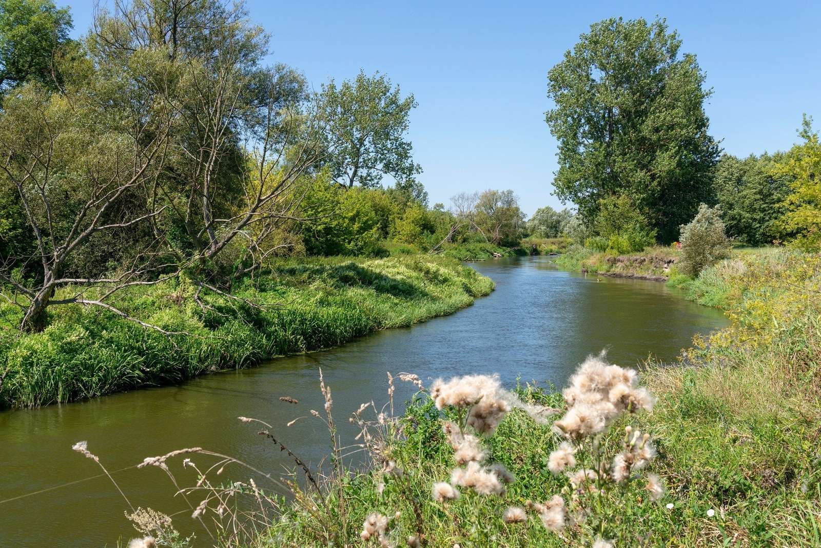 Ποταμός σε Polesie, καλοκαίρι παζλ online