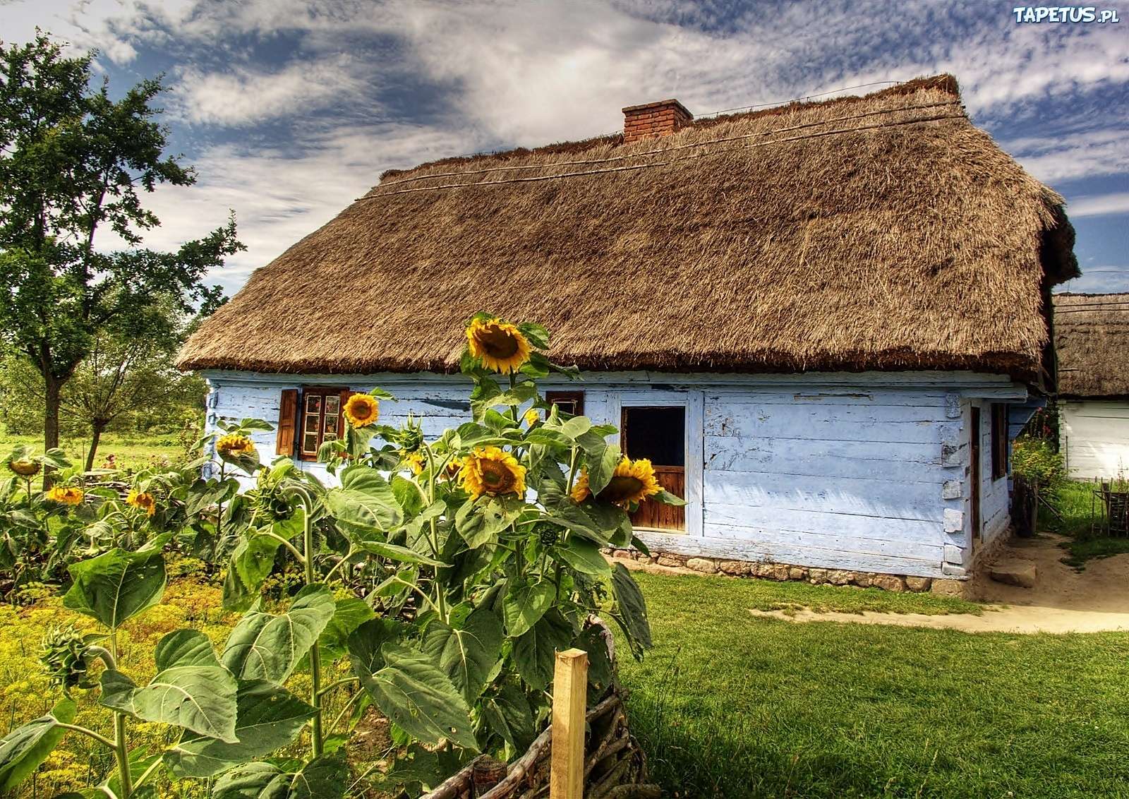 cottage and sunflowers online puzzle