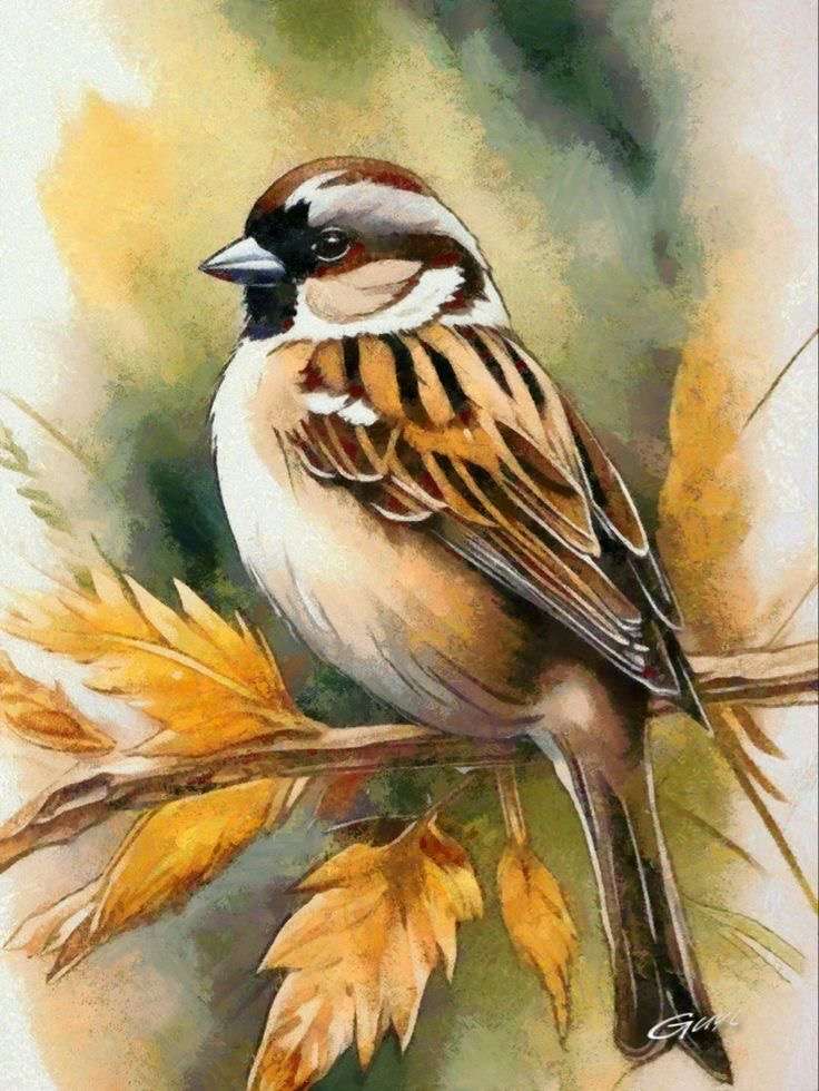 Sparrow – jól sikerült online puzzle