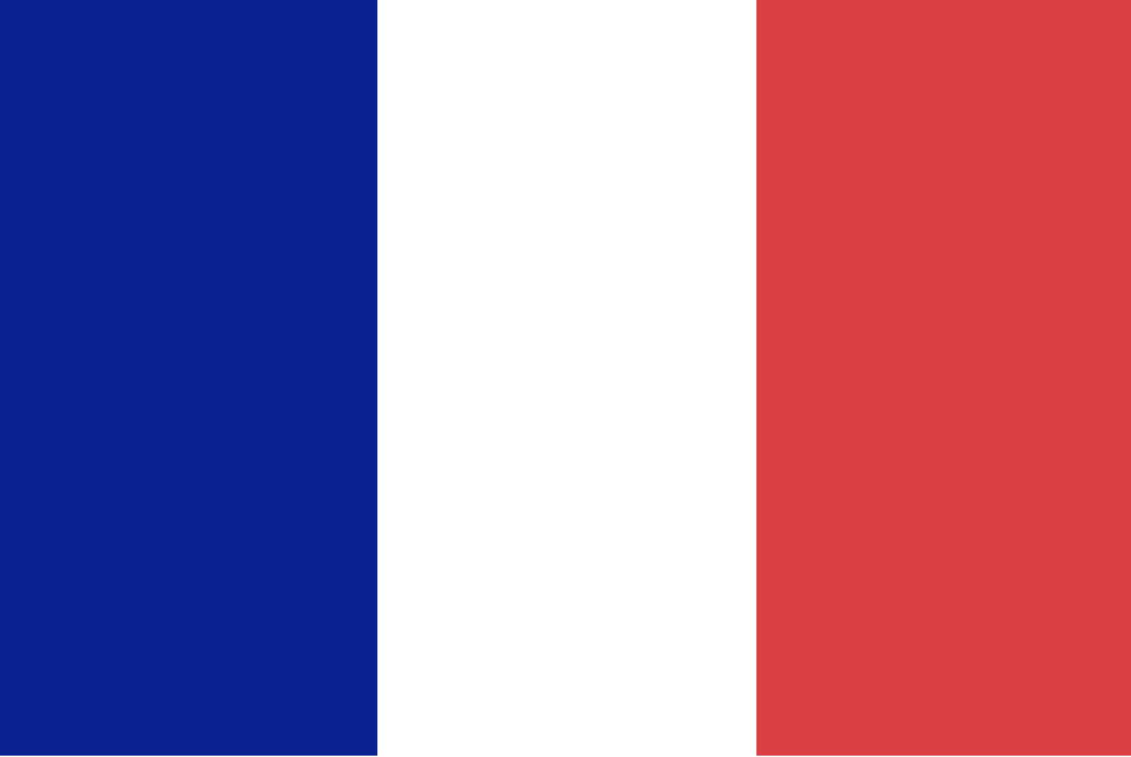 Frankrike flagga pussel på nätet