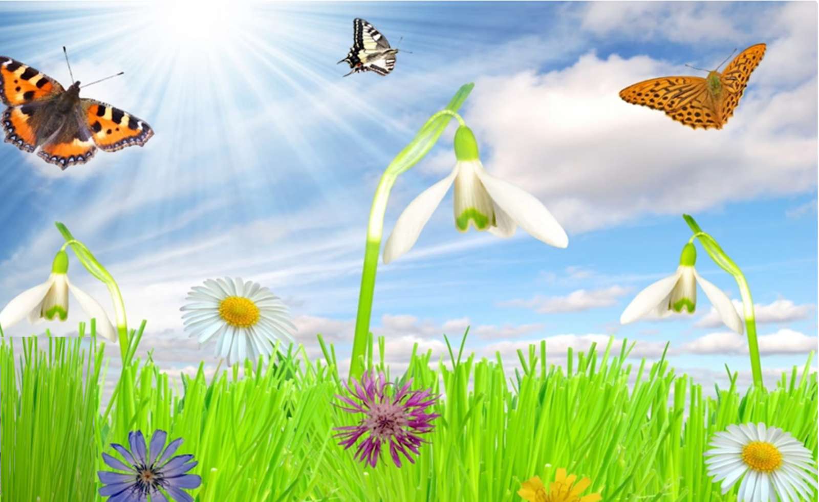Spring jigsaw puzzle online