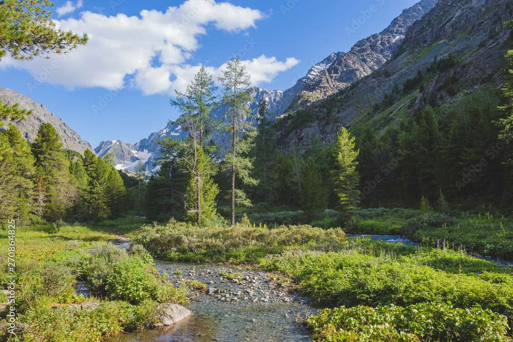 Un mic râu în Munții Altai jigsaw puzzle online