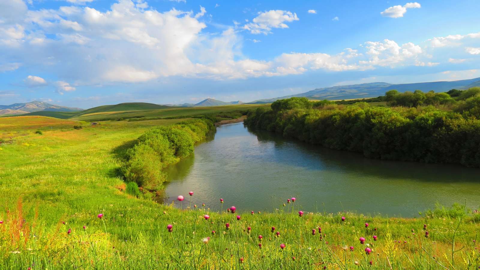Красива река на поляната онлайн пъзел