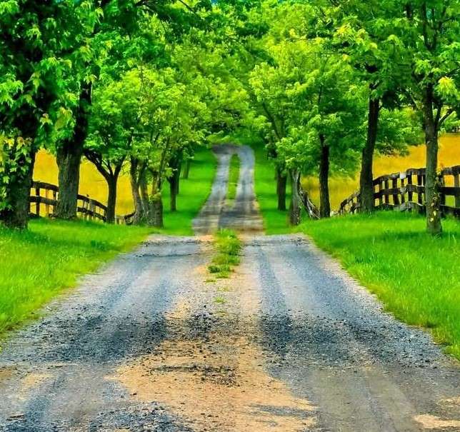 Road in the countryside jigsaw puzzle online