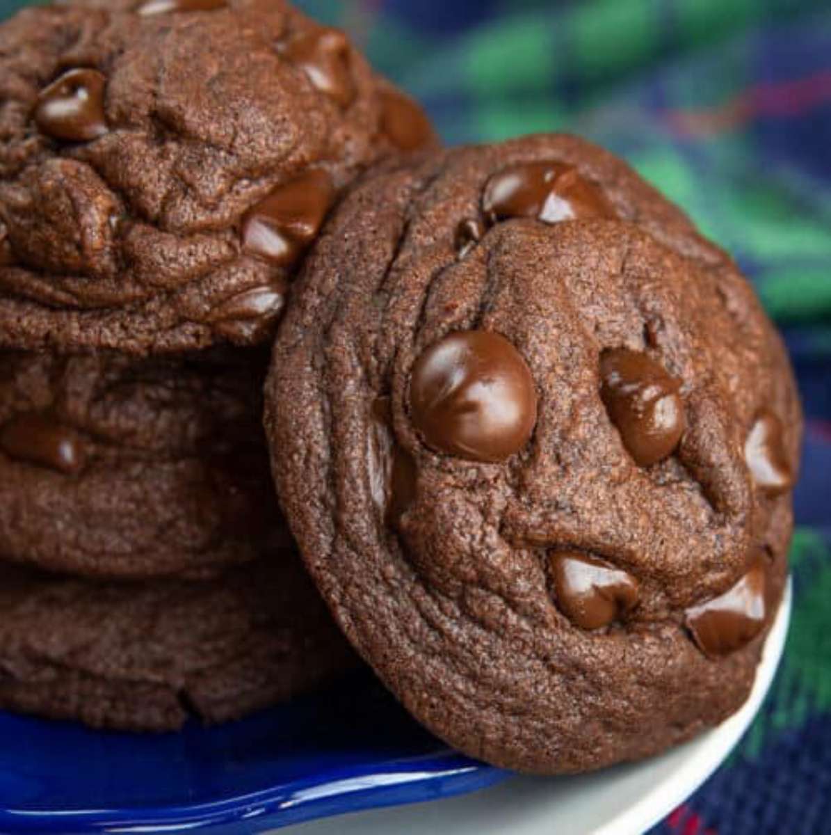 Biscotti facili al doppio cioccolato puzzle online