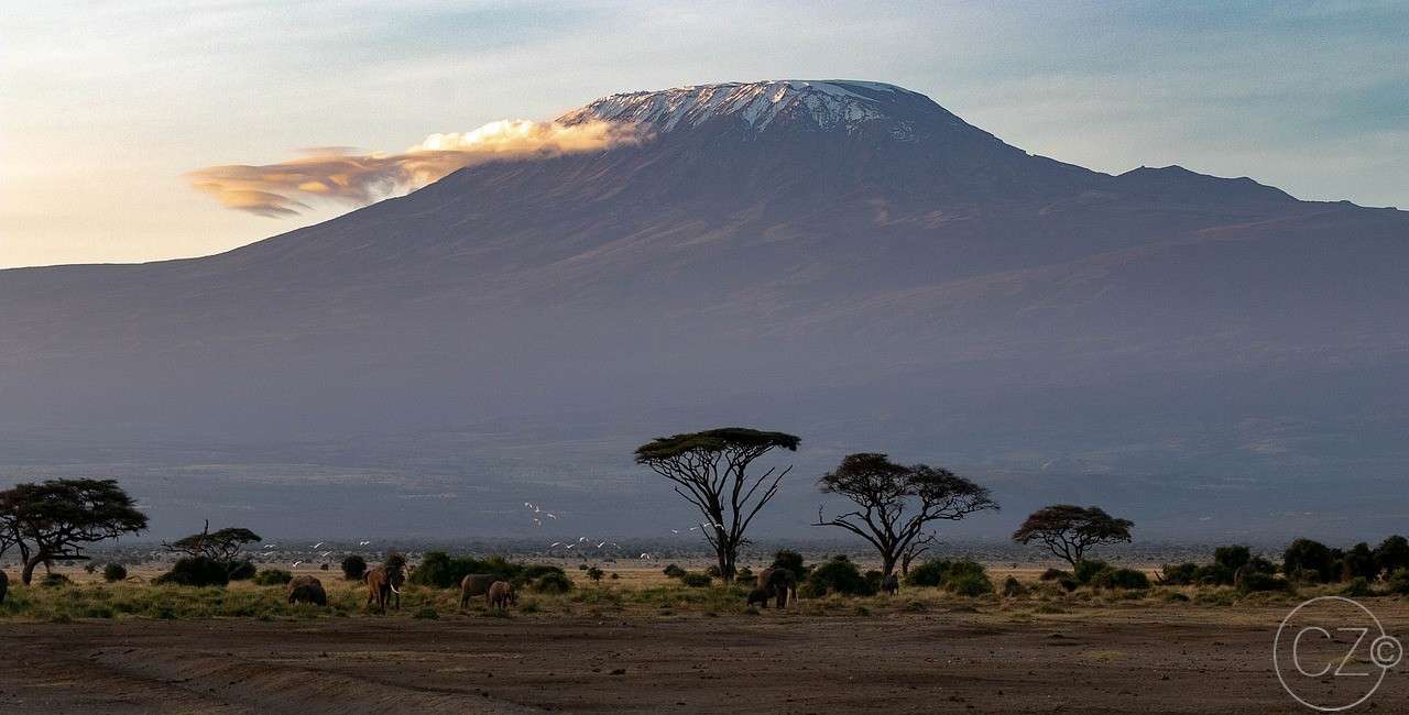 Afrika, Amboseli nationalpark Pussel online