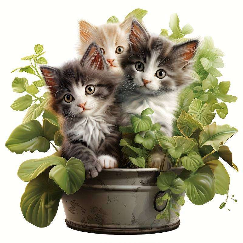funny kittens online puzzle